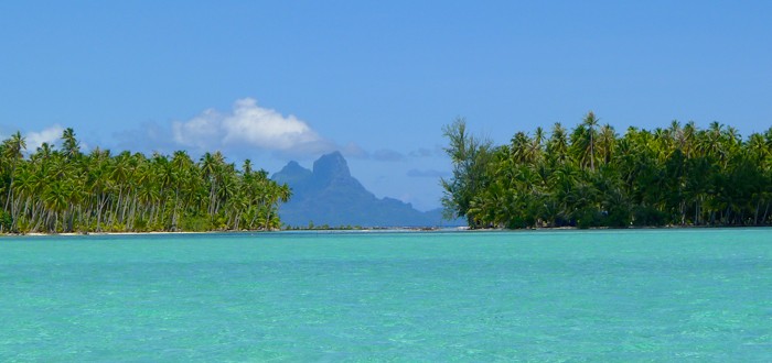 Arrivée au Jardin de Corail