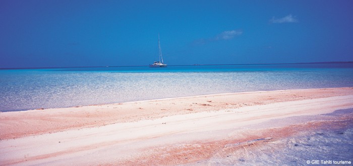 Plage de sable rose à Rangiroa