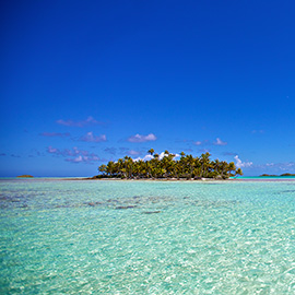 Motu à Rangiroa - Polynésie française - Tahiti et ses îles