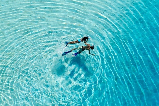 Plongée romantique dans un lagon Polynésien